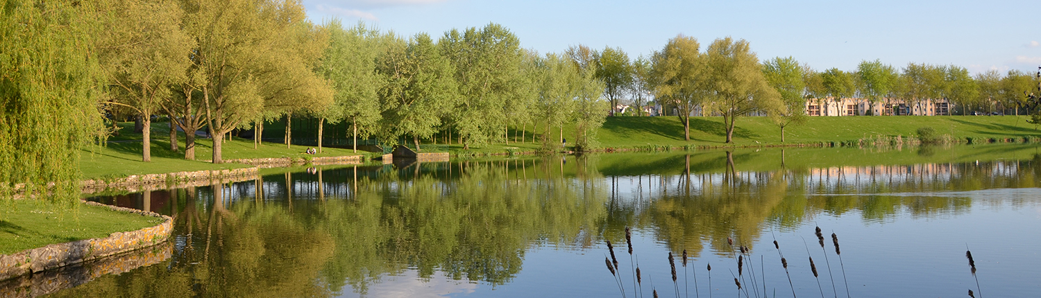 Etang De Peche En Seine Et Marne