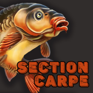 section-carpe2