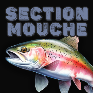 section-mouche